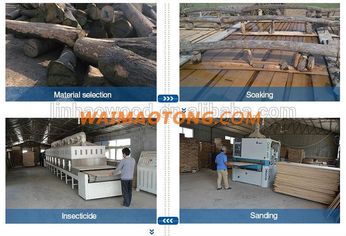 China Paulownia Wood Logs