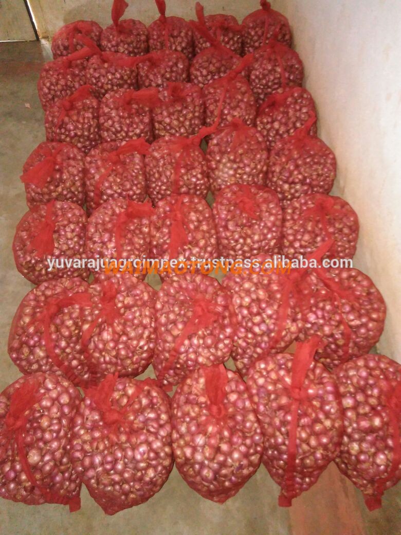 Fresh Vegetables Indian Small onion Exporters