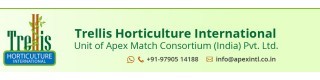 APEX MATCH CONSORTIUM (INDIA) PRIVATE LIMITED