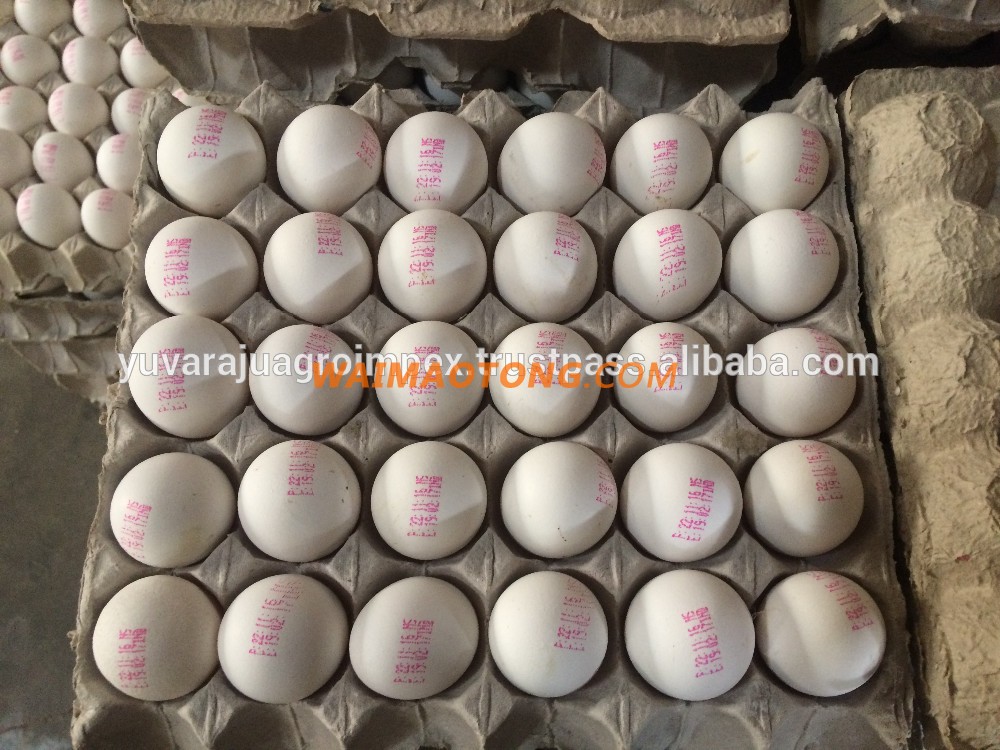 Fresh White Shell Egg Exporter For Australia/US/UK/UAE/Egypt/Iran/Iraq/Turkey