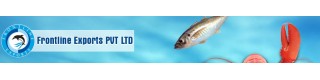 EEC/FDA/HACC Approved Best Quality Dried Anchovy Fish_Sell