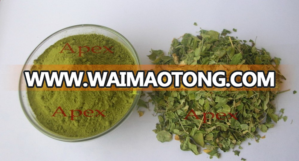 Moringa Oleifera Leaves Powder