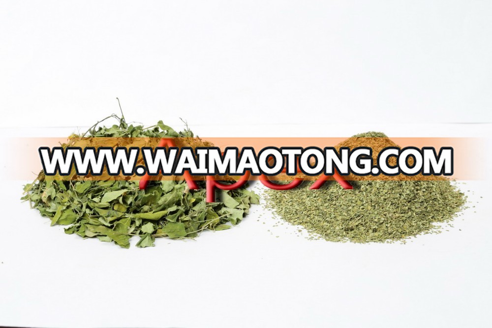 Moringa Oleifera Leaves Powder