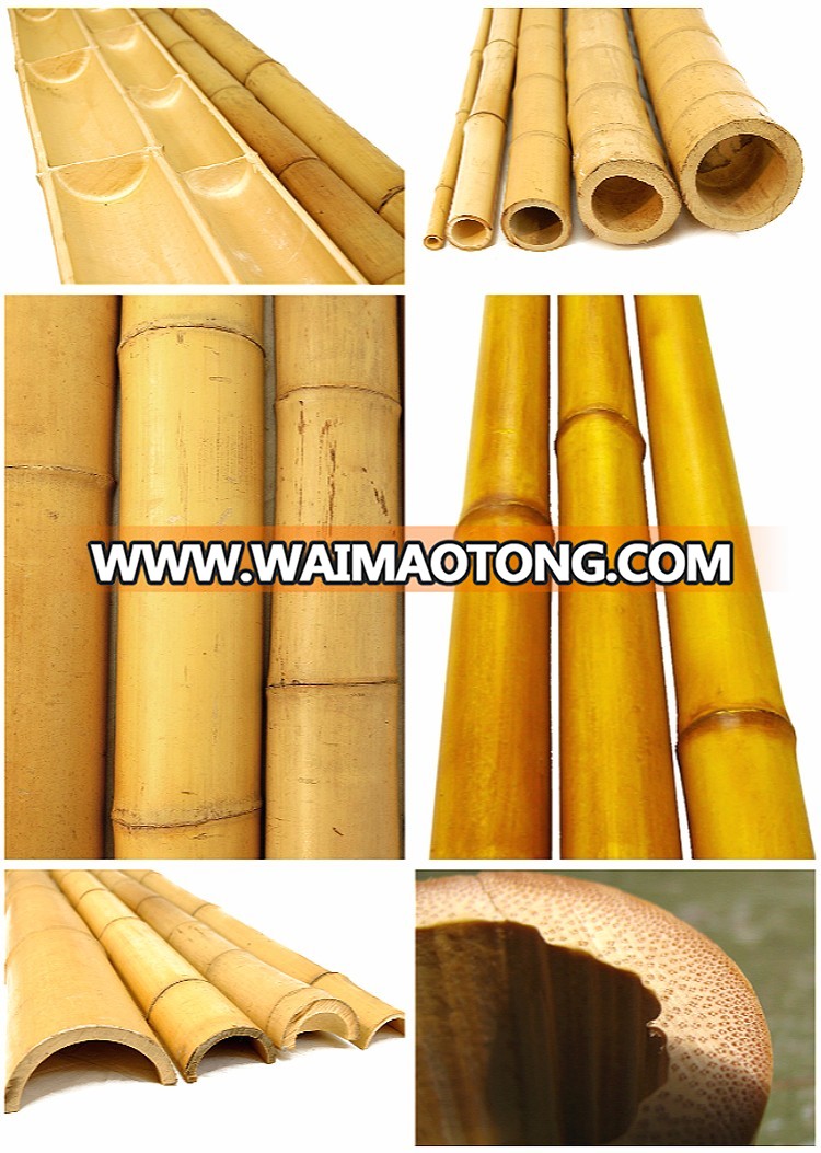 Bamboo Tent Poles