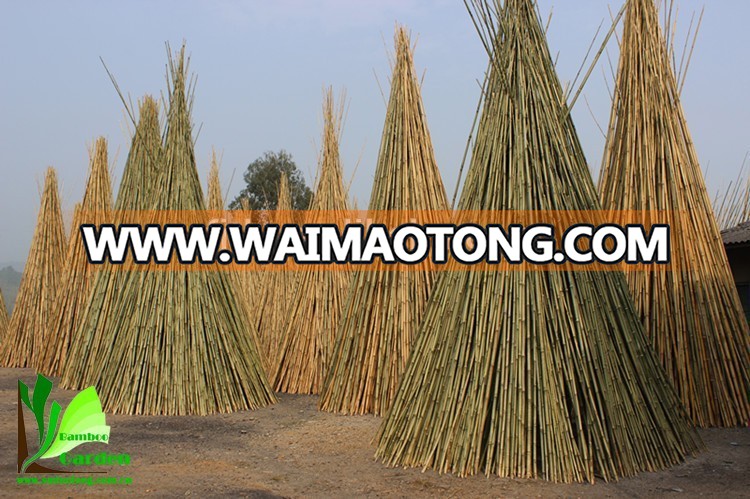 Bamboo Tent Poles