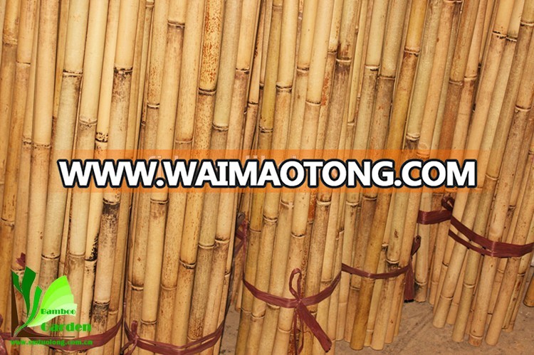 Bamboo Tent Poles