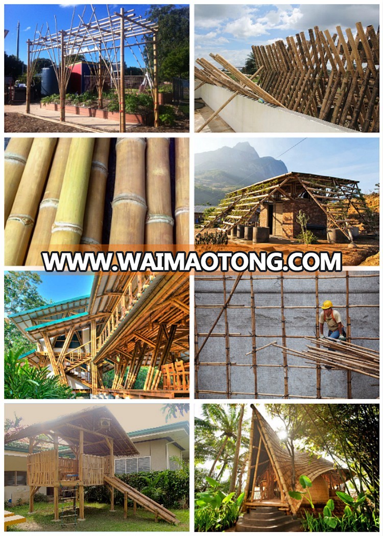 Bamboo Tent Poles