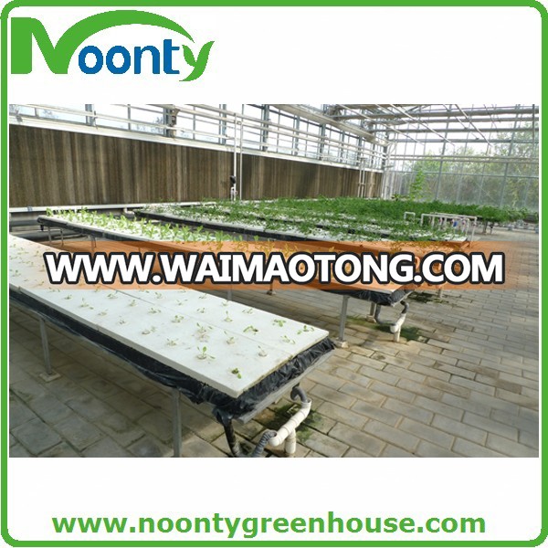 DFT Hydroponics System