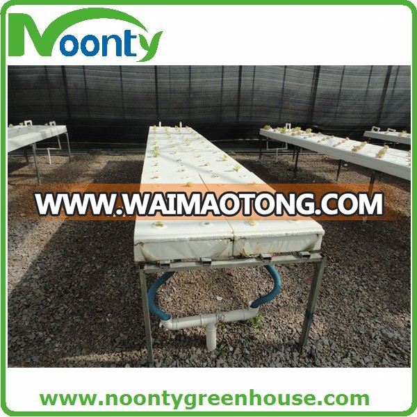 DFT Hydroponics System