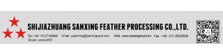 SHIJIAZHUANG SANXING FEATHER PROCESSING CO., LTD.