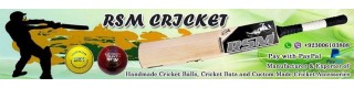 Color Cricket Helmet_Sell