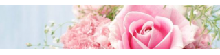 Best selling 20 heads artificial carnation for Mother's day_Product