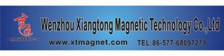 Double magnetic money for magnetic toy education_Product