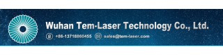 Mini Dual Direction Green Laser Sword For Laser Man Show 532nm 200mW Double-Headed Wide Beam Laser_Product