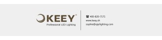 KEEY Rectangle COB 30W Grille Led Light Fixture Led in White Pure Color CCT 4000K 3-heads QYR2-GS601_Sell