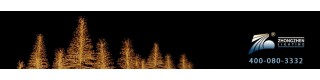 beautiful branches outdoor decorative willow led tree light,led willow tree,christmas tree_Product