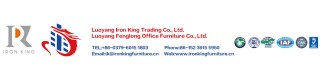 FENGLONG King Series Office Furniture Commercial Furniture General Use Instrument Filing Cabinet_Sell