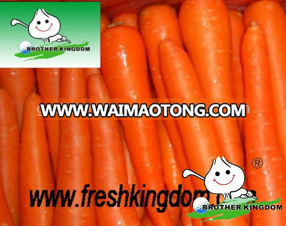 Carrots In Agriculture,Fresh Carrot Factory Price,Bulk Fresh Carrots