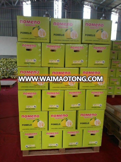 wholesale fresh ho<em></em>ney pomelo shaddock