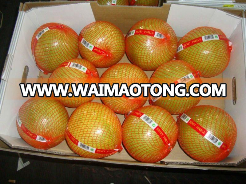 Chinese fresh ho<em></em>ney pomelo, grapefruit