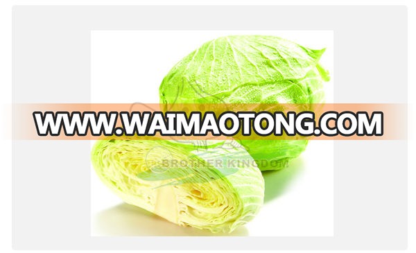 Fresh green cabbage/Cabbage from China/New crop cabbage