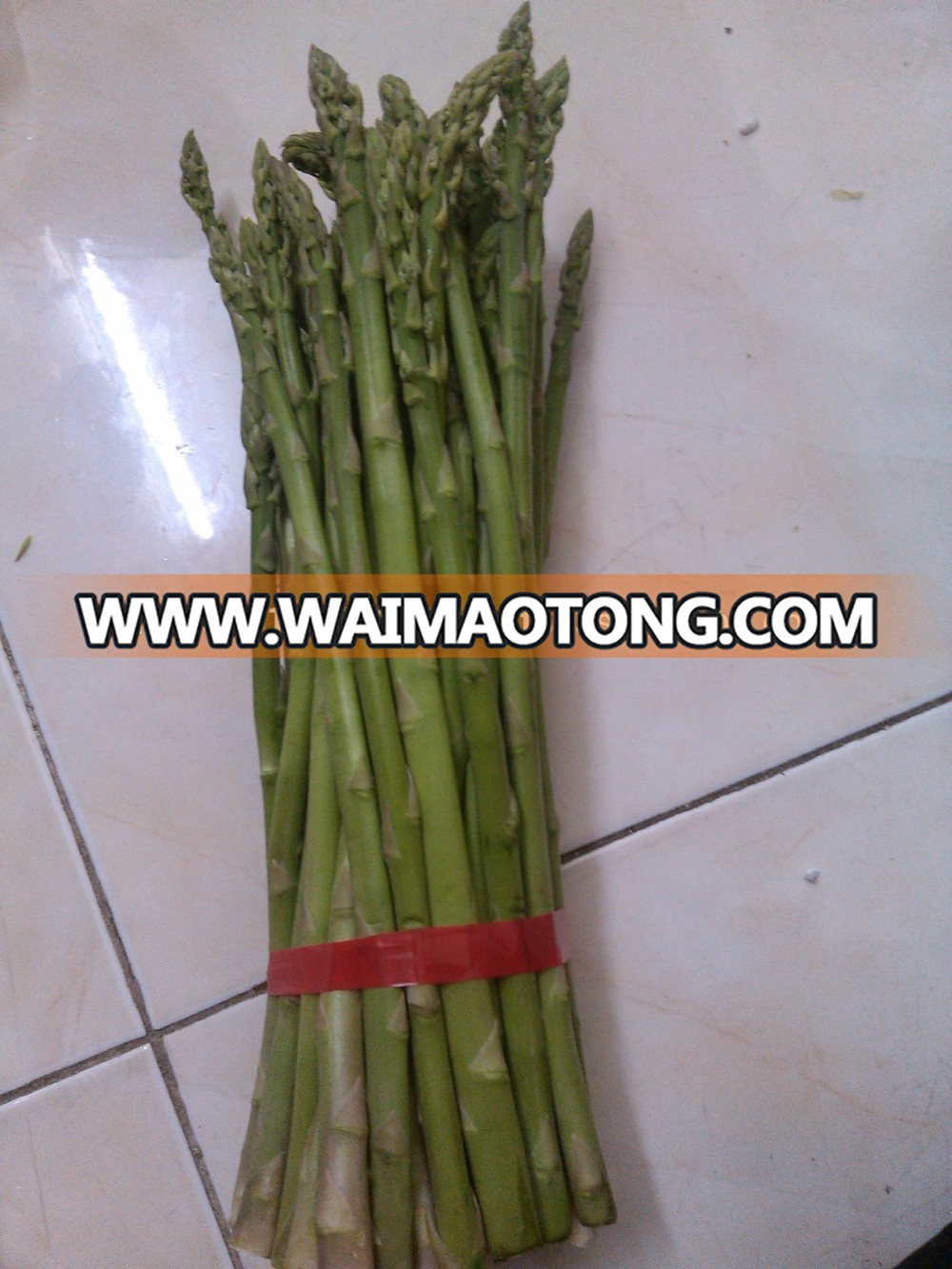 VIETNAM FRESH ASPARAGUS