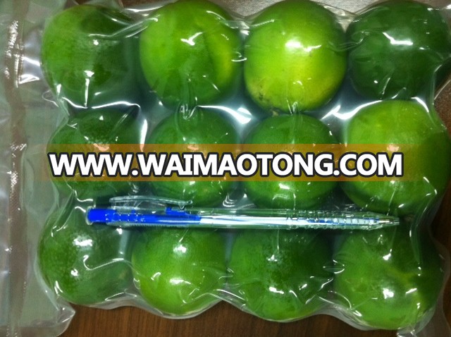 VIETNAM SEEDLESS LIME ( HP : +84982133312) WITH HIGH QUALITY