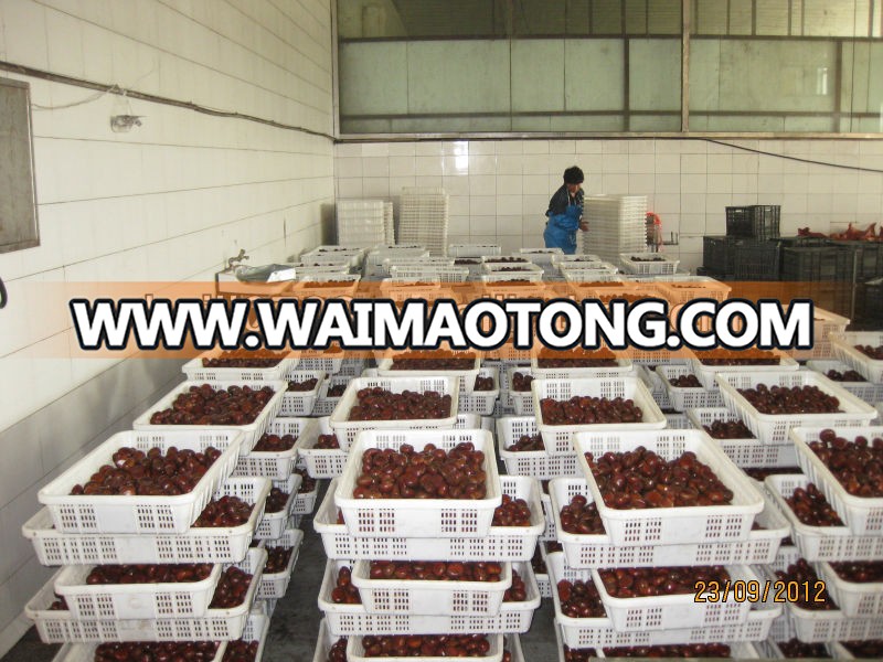 buying 2014 wholesale of fresh chinese chestnut for sale