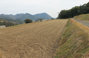 High-grade and Premium brown rice price made with Kamiya farming method at reaso<em></em>nable prices