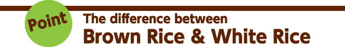 High-grade and High quality brown rice price made with PYRROLE farming method at reaso<em></em>nable prices