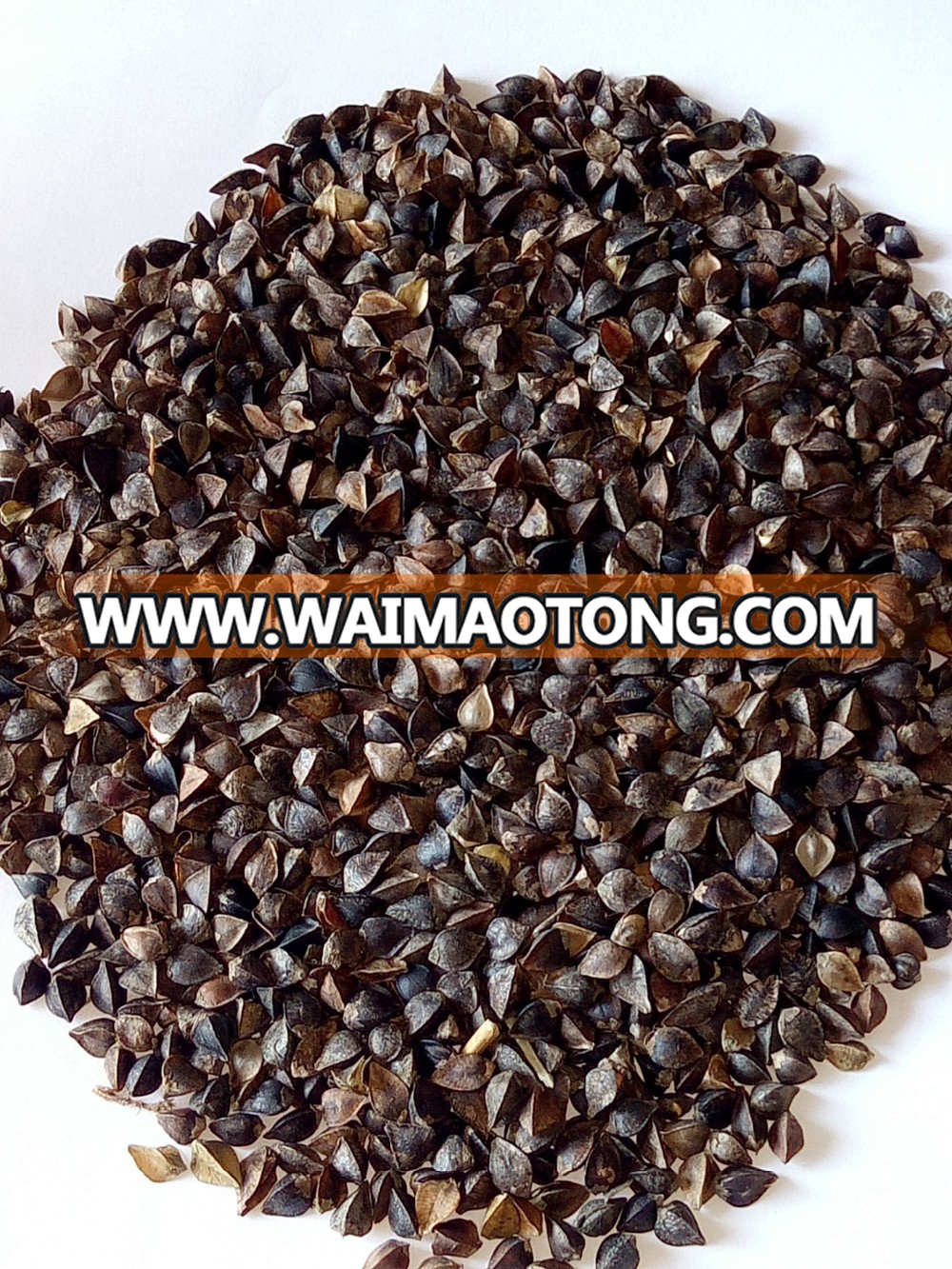 high quality buckwheat with best price