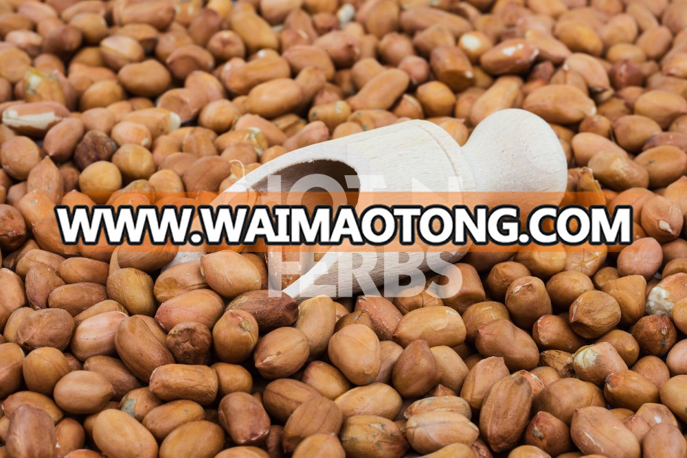 2017 Best New Corp Raw Peanuts Available for Bulk Purchase