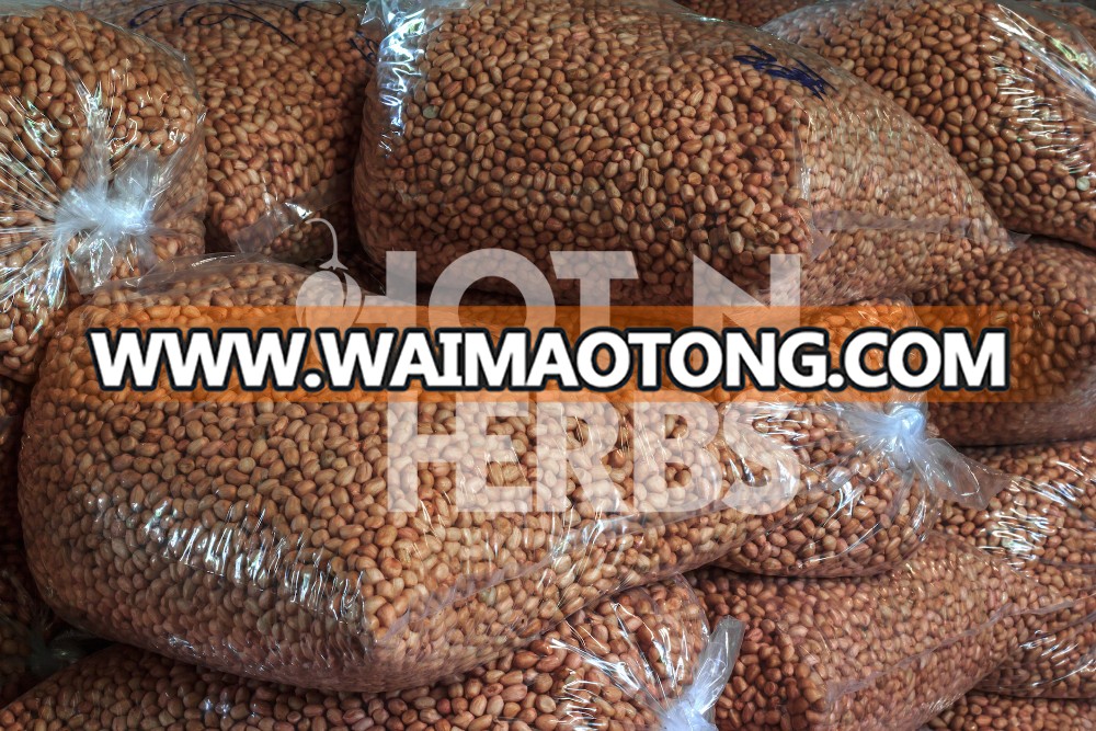 Bulk Selling Raw Peanuts at Wholesale Prices