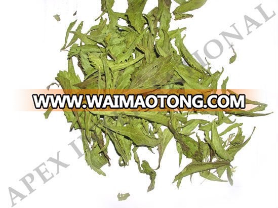 Stevia Rebaudiana / Stevia Leaves Powder / Stevia Leaves TBC