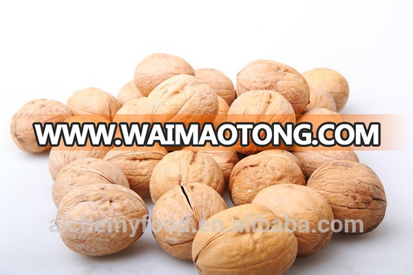 Chinese walnut inshell / walnut exporters