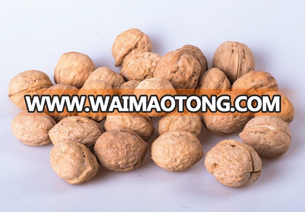 Quality wholesale walnuts