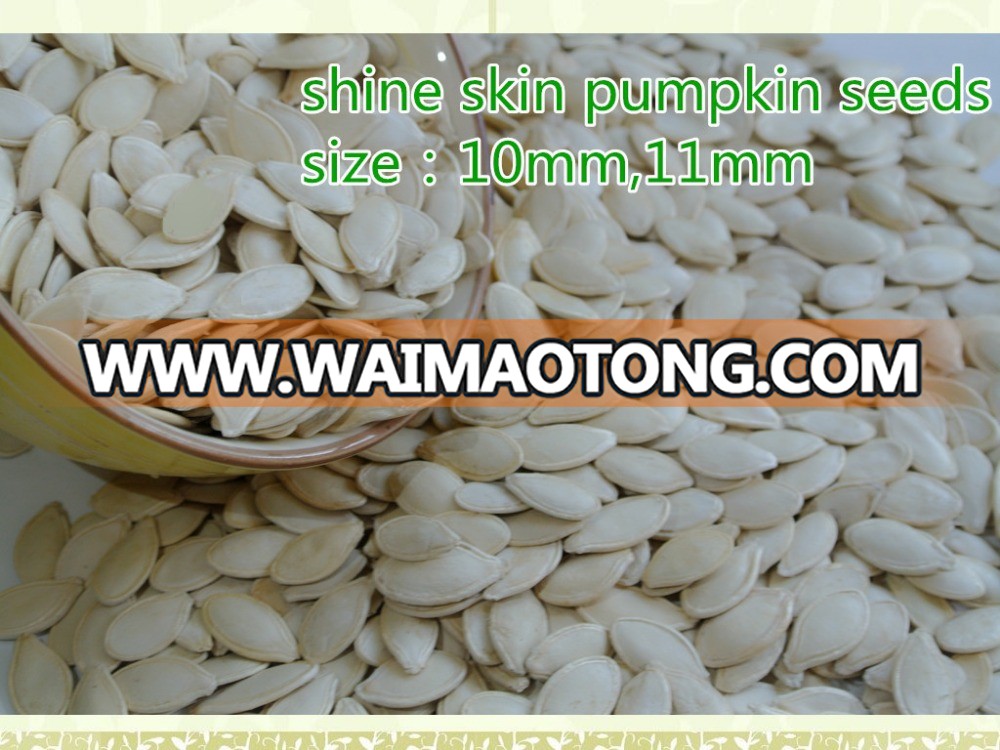 Top Crop Names Of All Dry Fruits Shine Skin Pumpkin Seeds