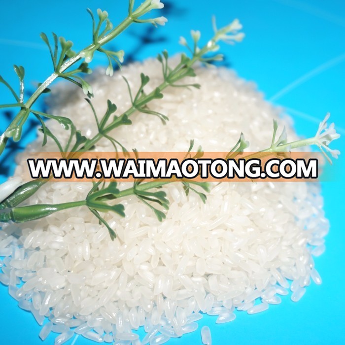 Medium Grain White Rice Vietnam New Crop