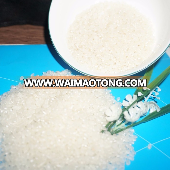 High Qualify Medium Grain White Rice 5 - 10% (Vietnam Rice)