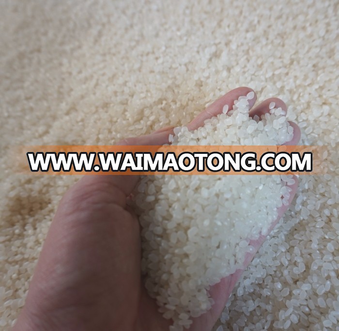 long grain rice supplier in Viet Nam ( Mail: vivian@tpi-exim.com.vn , Whatsapp: +841687627504)