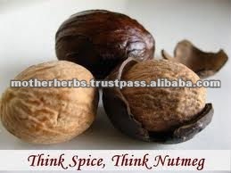 High Quality Pure Nutmeg Seed Extract Suppliers