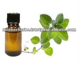 High Quality Oregano Oil