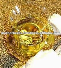 Pharmaceutical Graded Ajowain Seed Oil