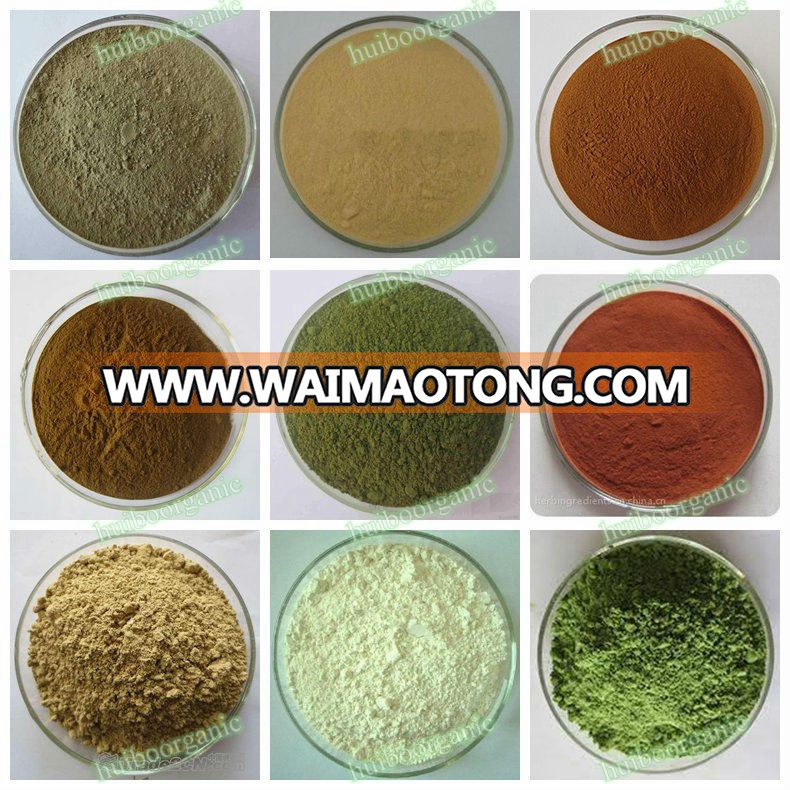 wholesale bulk Organic Buckwheat grass powder with best price