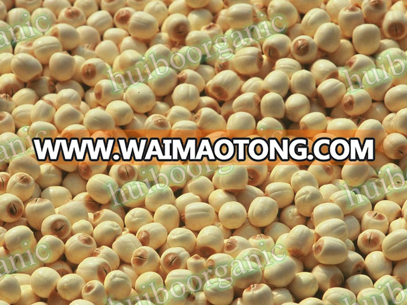 wholesale organic Lotus seed