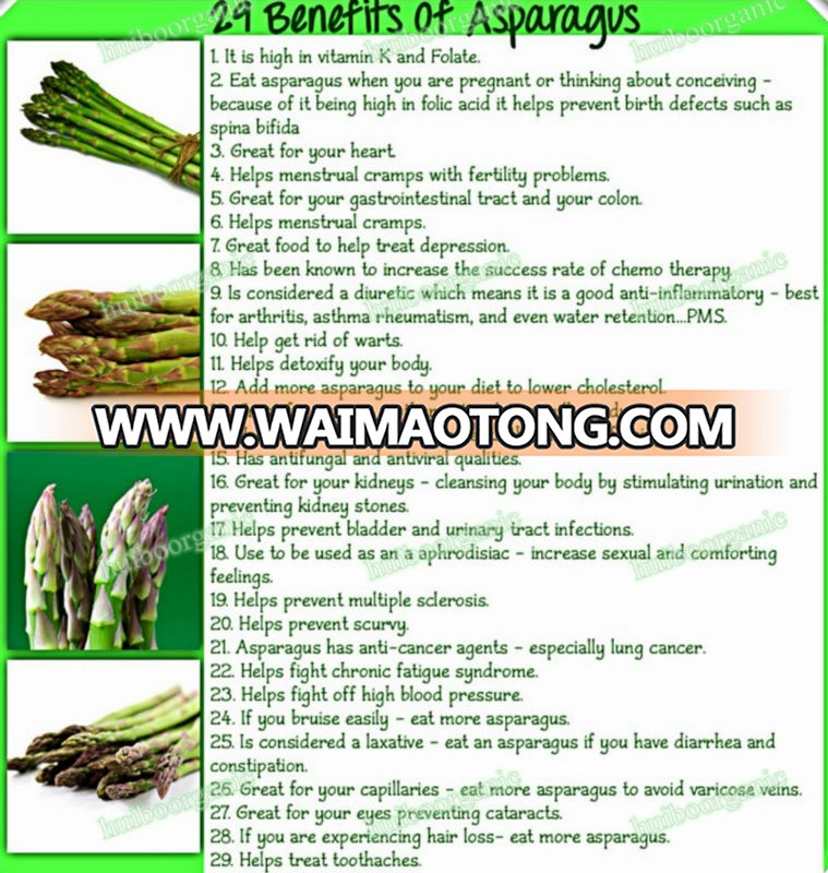 Organic asparagus powder / wholesale manufacturer best price asparagus