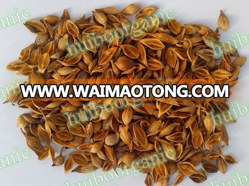 organic Forsythia extract / Weeping(Fructus) Forsythia Extract/ Forsythin phillyrin