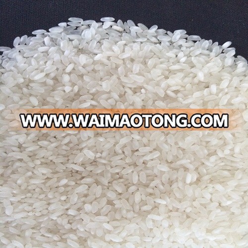 BEST QUALITY 5% BROKEN CAMOLINO RICE WITH NEWEST CROP