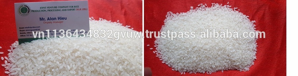 TOP QUALITY 3% BROKEN CAMOLINO RICE WITH NEW HARVEST