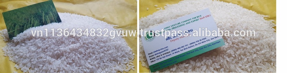 HIGH QUALITY 5% BROKEN CAMOLINO RICE WITH GOOD PRICE